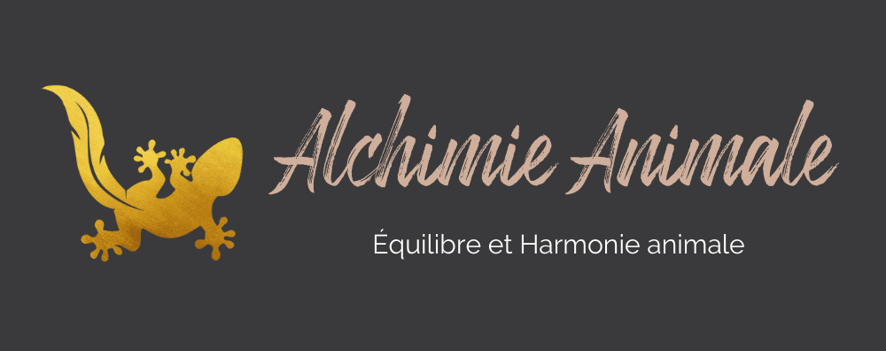 Bannière du site Alchimie Animale