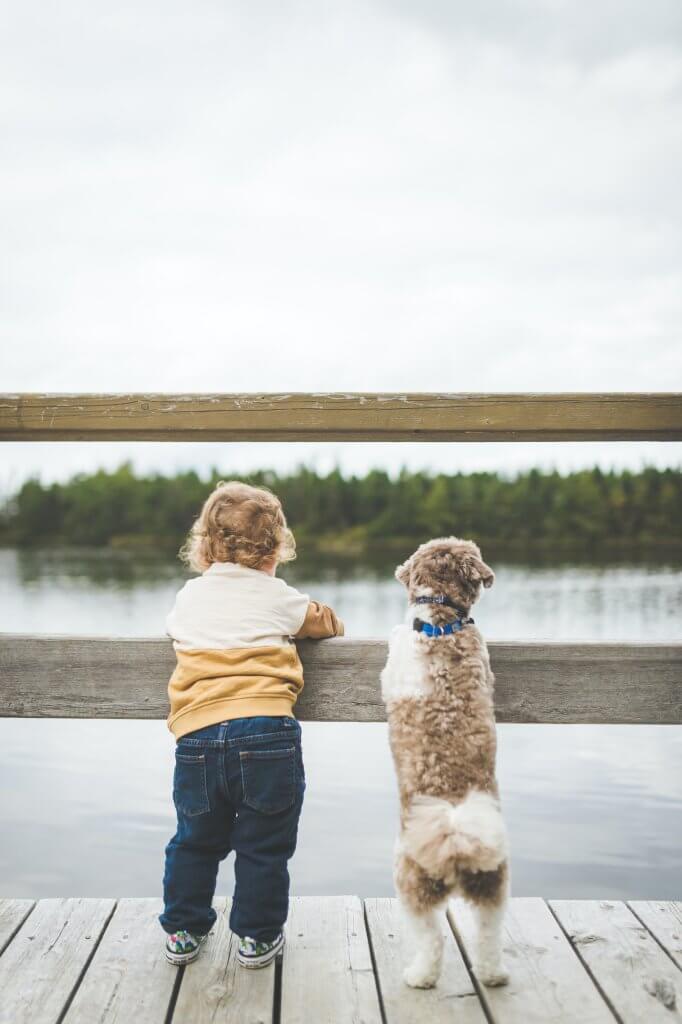 Enfant et chien au bord de l'eau