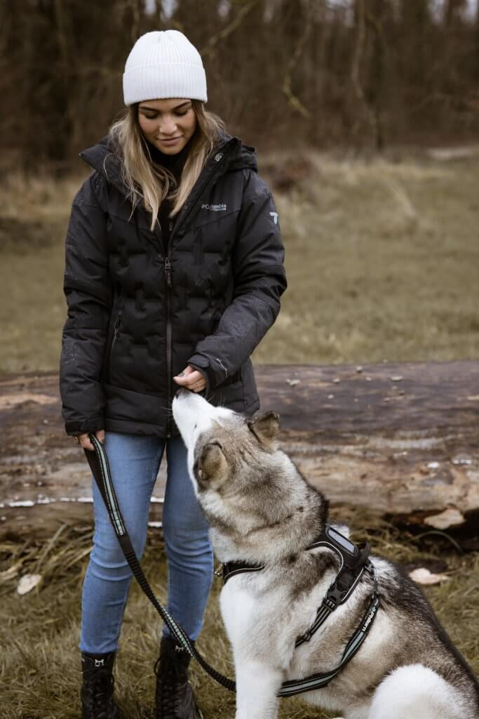 Chien Husky en compagnie de sa maîtresse