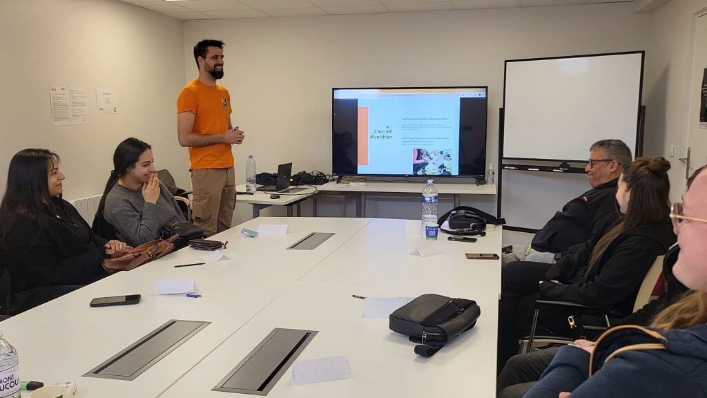 formation attestation detention chien dangereux