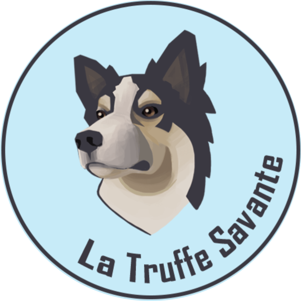 Une éducatrice bienveillante à l'écoute de l'humain et de son chien
